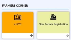 PM Kisan Yojana 2024: पीएम किसान योजना में न्यू रजिस्ट्रेशन कैसे करें 4 पीएम किसान योजना में न्यू रजिस्ट्रेशन कैसे करें