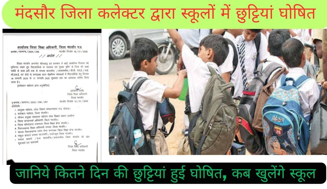School Holidays Mandsaur : बढ़ती ठंड के कारण मंदसौर जिले में स्कूलों की छुट्टियां घोषित, जाने पूरी खबर 1 School Holiday Mandsaur